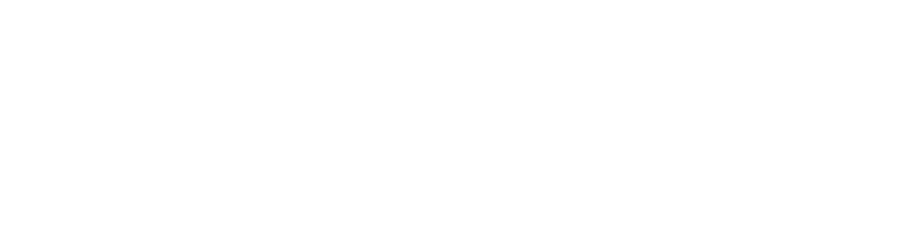 RepotzPro Logo